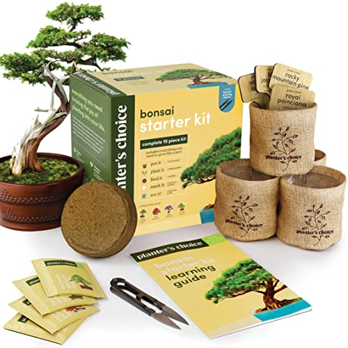 Best Bonsai Kit