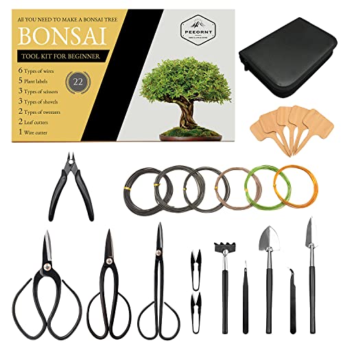Best Bonsai Tools