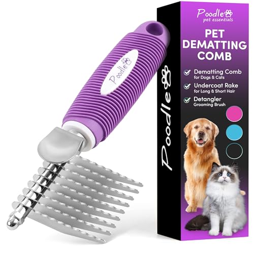 Best Dematting Tool for Dogs