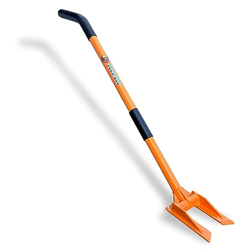 Best Design Tool for Home Renovation