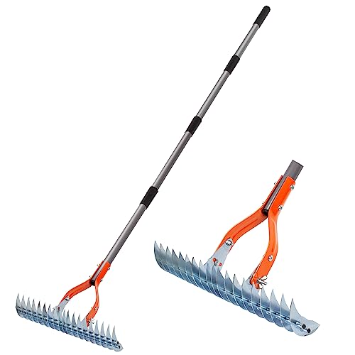 Best Lawn Dethatcher Tool