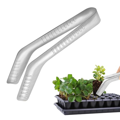 Best Seedling Transplanting Tool