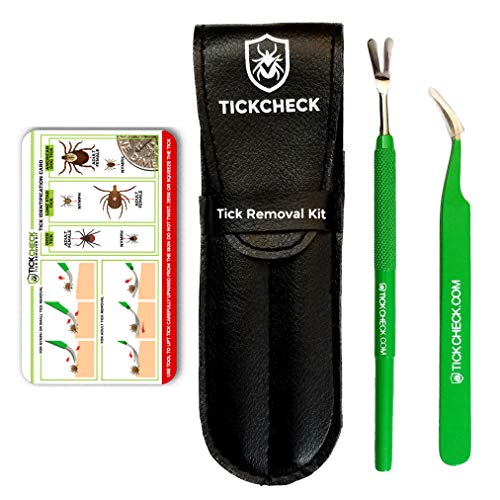 Best Tick Removal Tool for Dogs