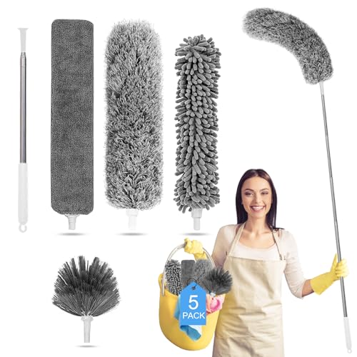 Best Tool for Cleaning Cobwebs