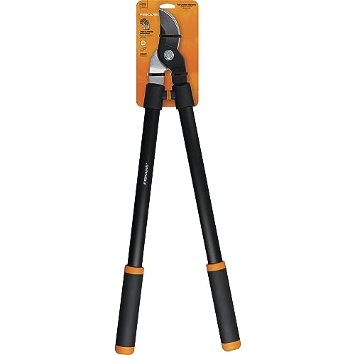 Best Tool for Cutting Small Trees