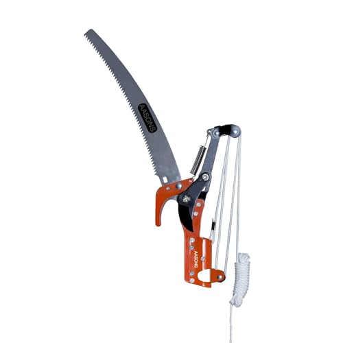 Best Tool for Trimming Tree Branches: Top Picks for Easy Pruning