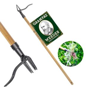 Best Tool for Weeding Garden