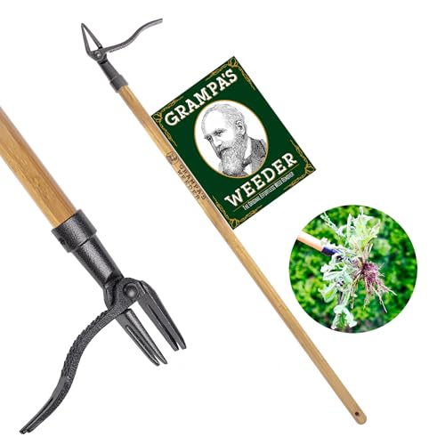 Best Tool for Weeding Garden