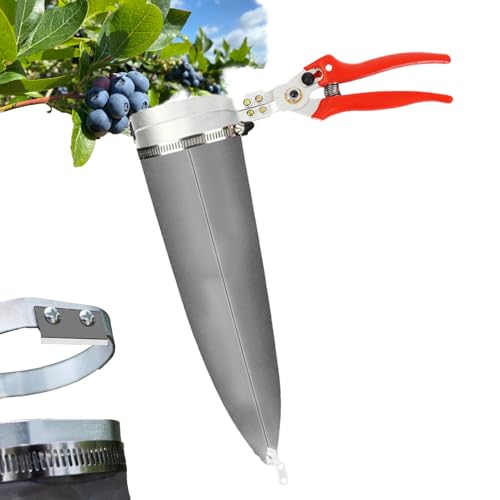 Best Tool to Cut Blackberry Bushes: Top Picks for Easy Pruning