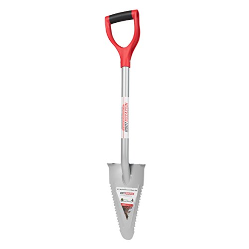 Best Tool to Cut Tree Roots