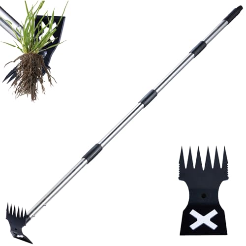 Best Tool to Remove Weeds from Gravel