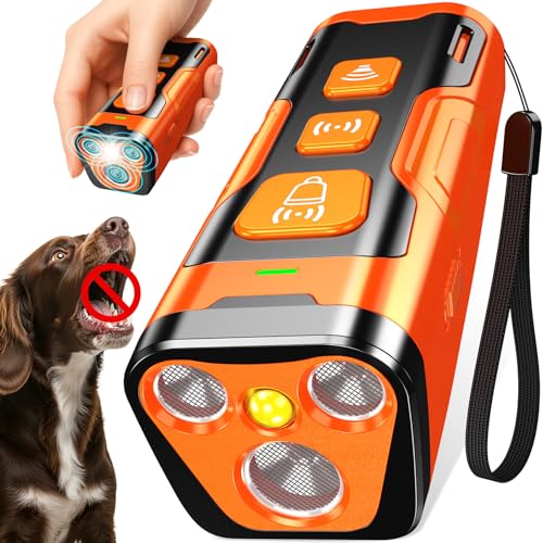 Best Training Tools for Dogs