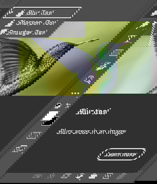 How Do You Use the Blur Tool in Photoshop