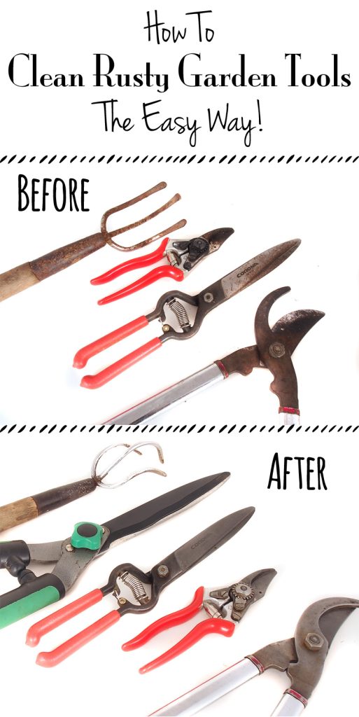 How to Clean Rusty Garden Tools