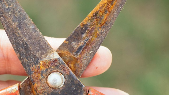 How to Get Rust off of Garden Tools: Quick & Easy Tips