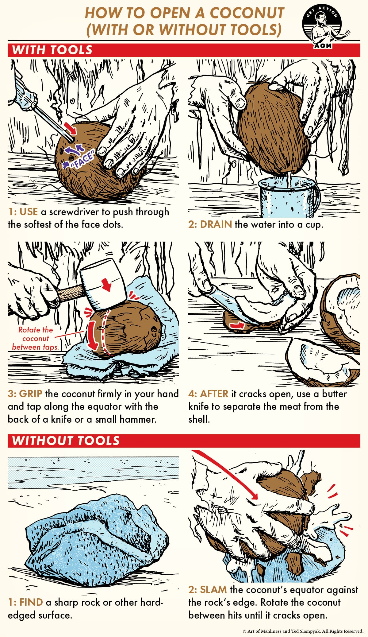 How to Open a Coconut Without Tools: Simple Techniques