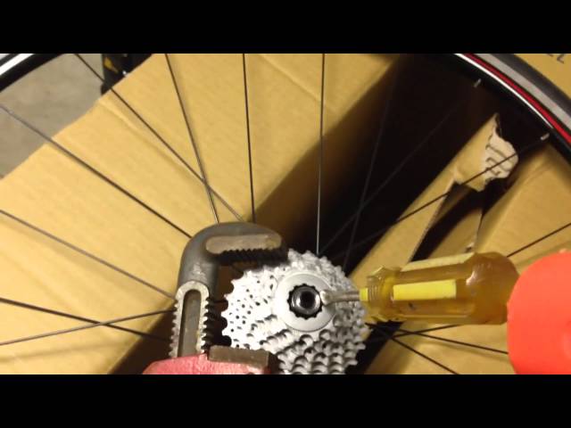 How to Remove Bike Cassette Without Special Tools: DIY Guide