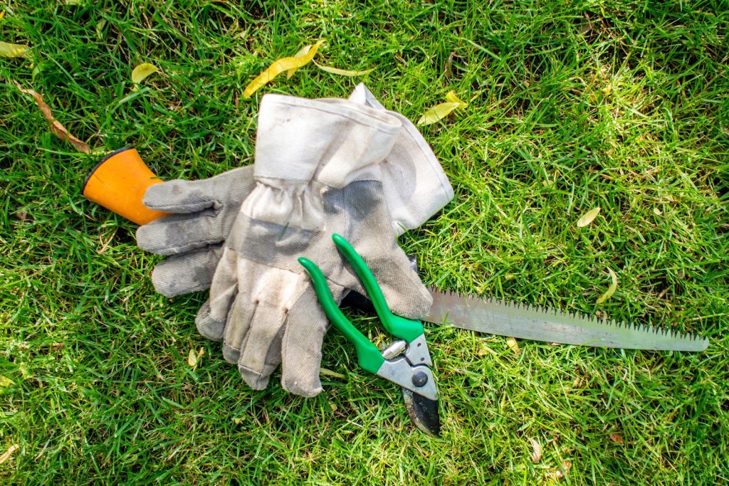 How to Sterilise Garden Tools