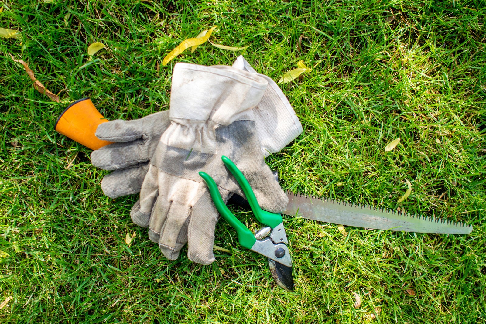 How to Sterilise Garden Tools: Expert Tips & Techniques