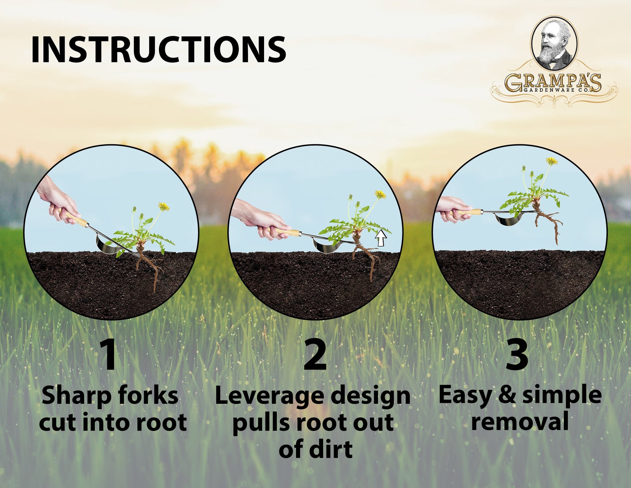 How to Use a Hand Weeder Tool: Master Your Garden