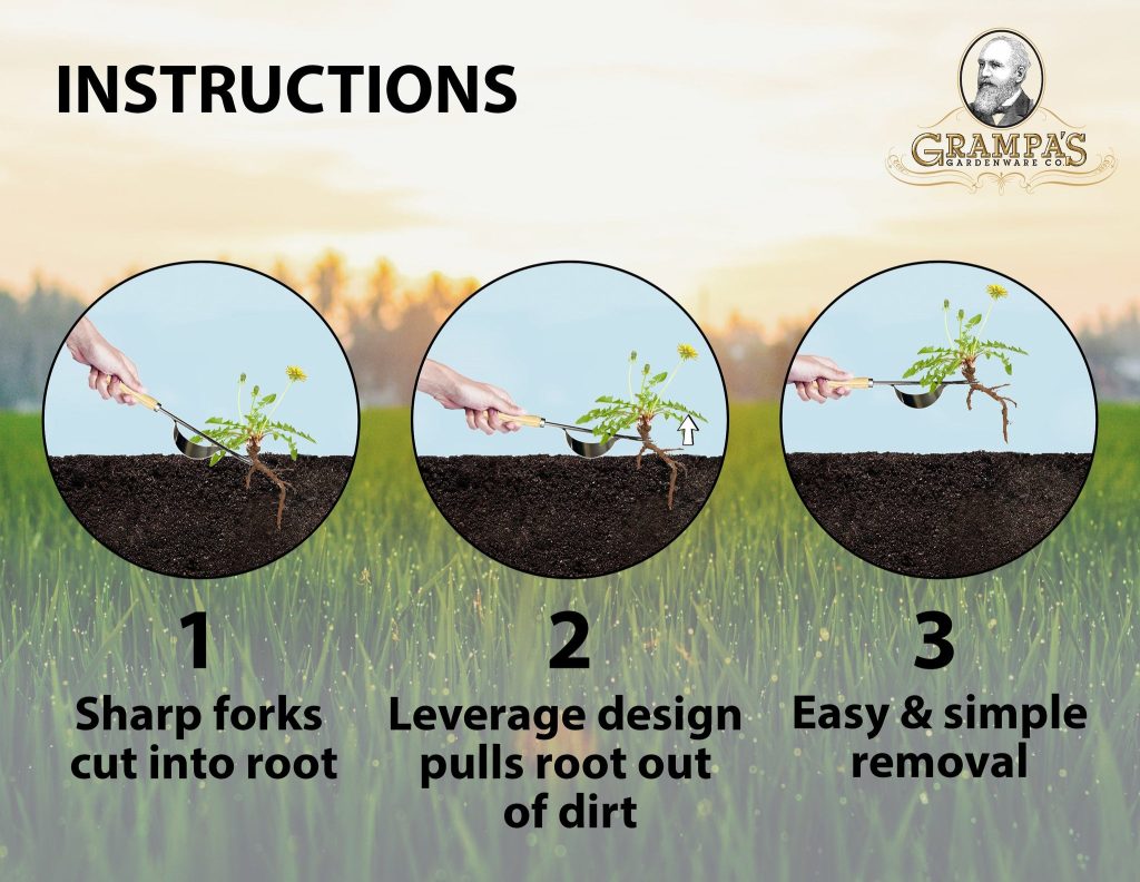 How to Use a Hand Weeding Tool