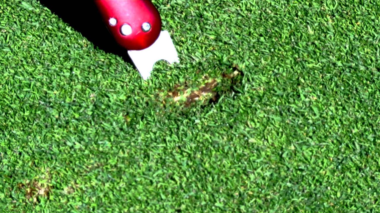 How to Use Divot Tool: Master Your Golf Game