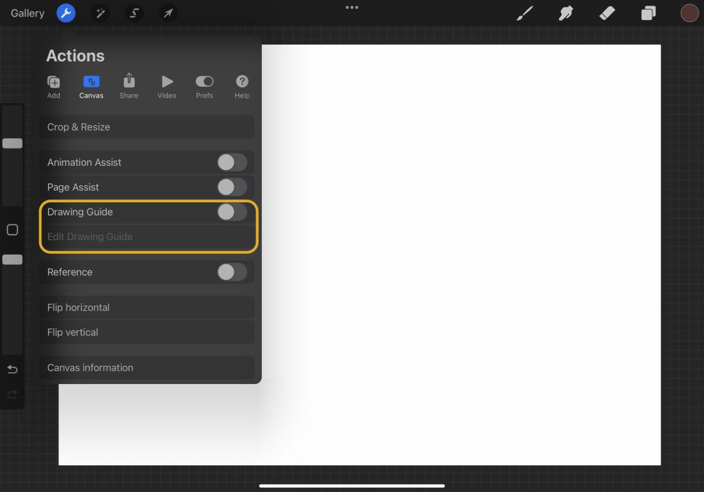 How to Use Symmetry Tool in Procreate