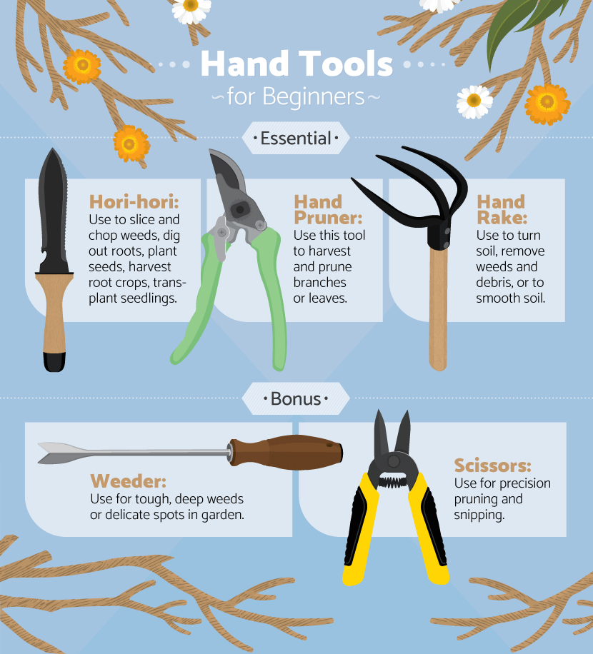 What Garden Tools Do I Need: Essential Picks for Beginners