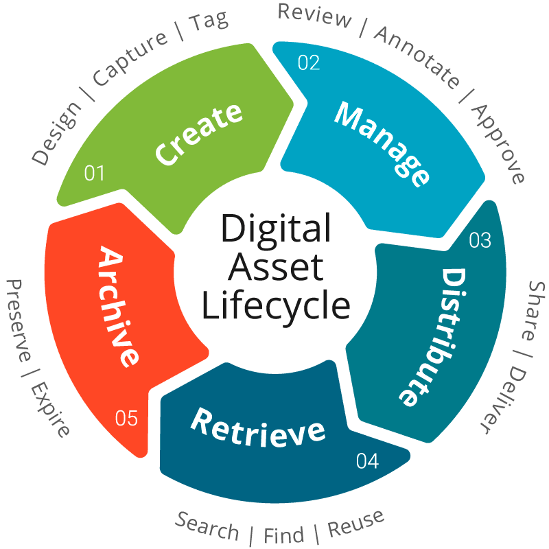 What is a Digital Asset Management Tool: Unlock Efficiency