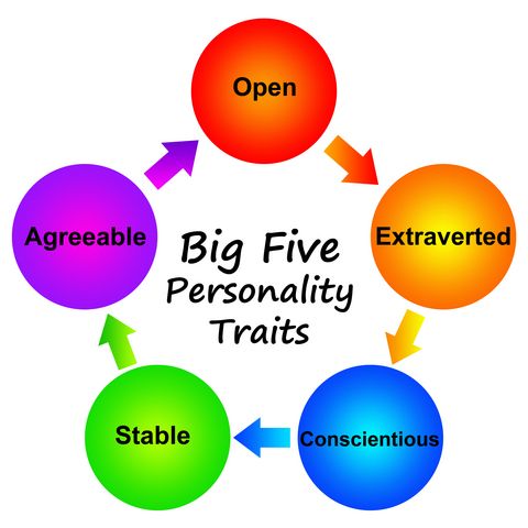 What is Psychometric Testing Tools: A Comprehensive Guide