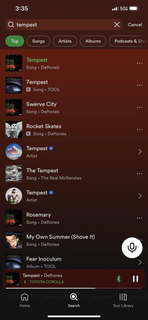 What is the Tool Song Tempest About