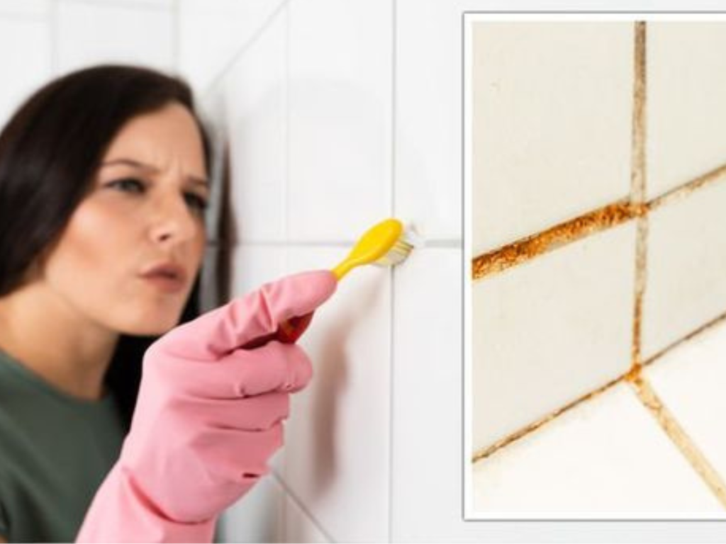 What Tool for Cleaning Shower Grout