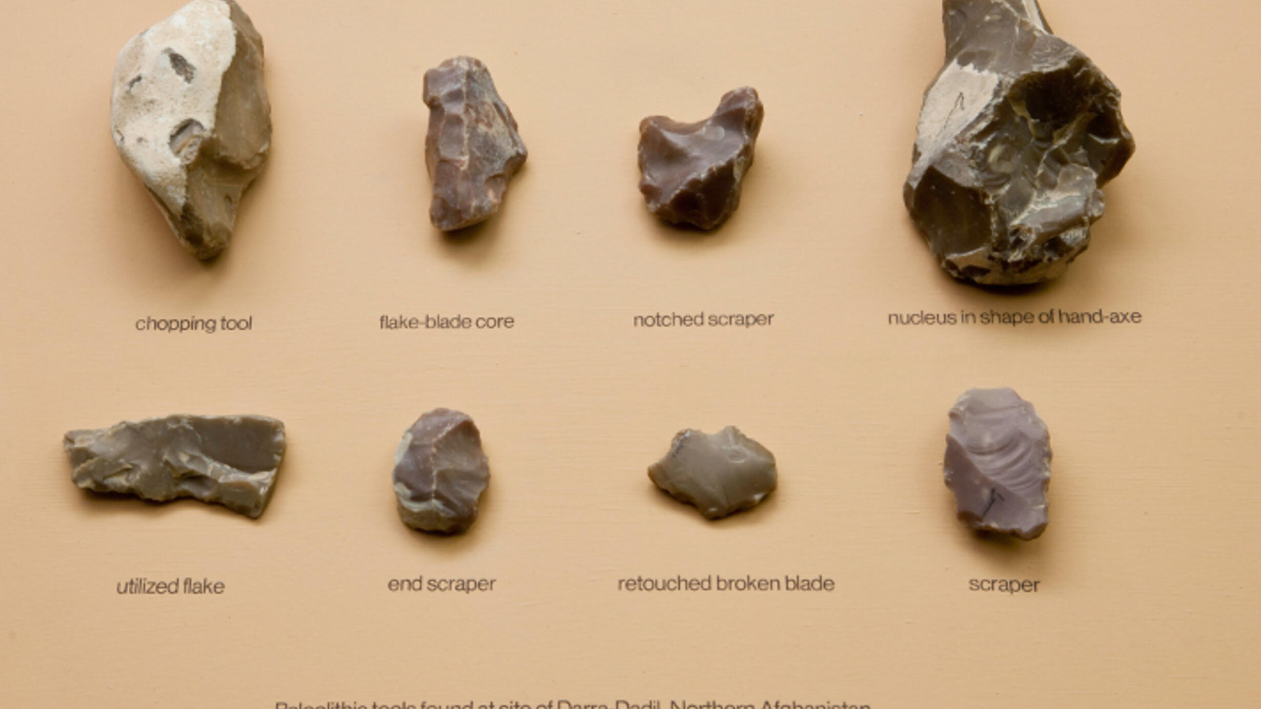 What Tools Did the Neanderthals Use: Uncovering Ancient Secrets
