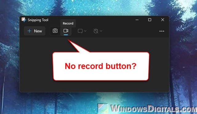 Why Does My Snipping Tool Not Have Video Option: Explained