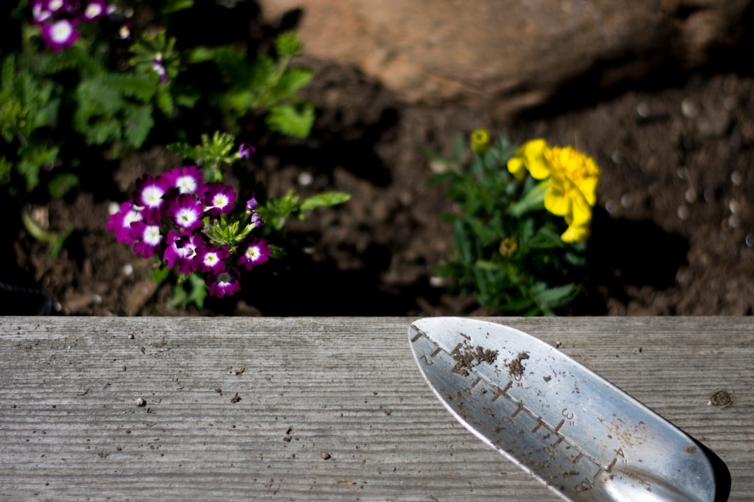 How to Clean Gardening Tools: Pro Tips for Longevity