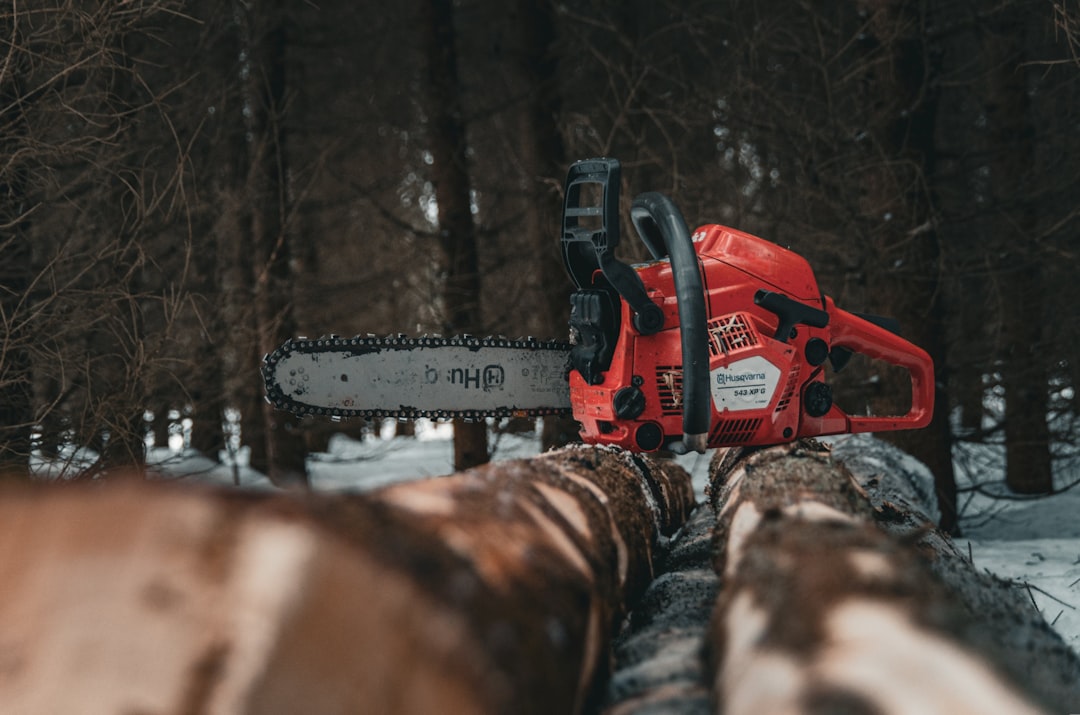 How to Use a Siding Removal Tool: Expert Techniques