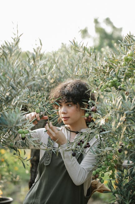 Must Have Garden Tools: Essential Picks for Every Gardener
