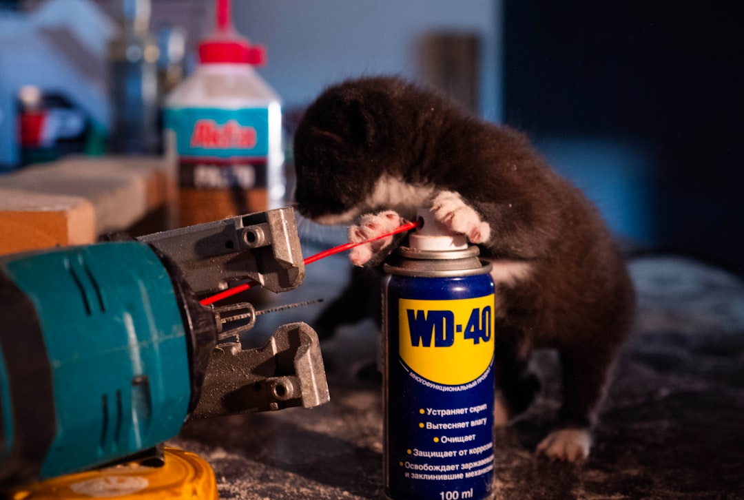 Who Makes Cat Power Tools: Unveiling the Trusted Makers