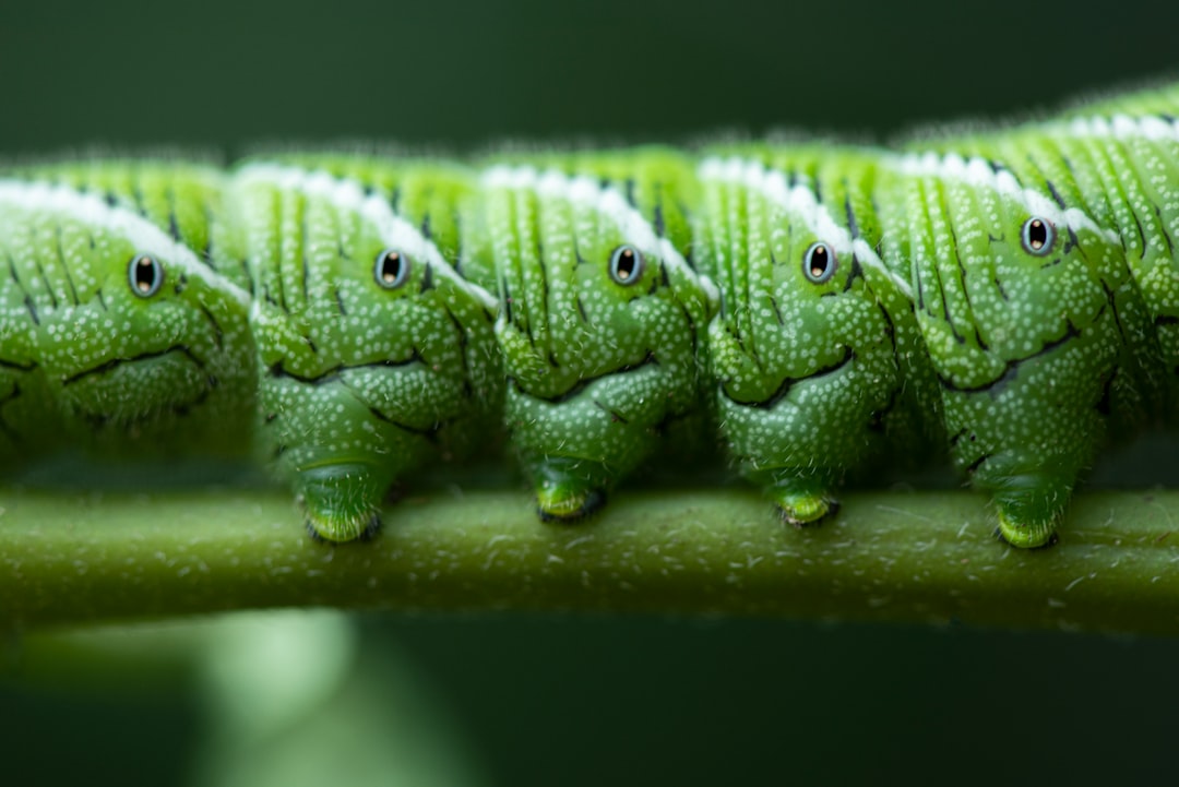 Who Makes Caterpillar Power Tools: Discover the Brand